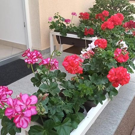 Apartment Marelja - Private Parking And Balcony ซาดาร์ ภายนอก รูปภาพ