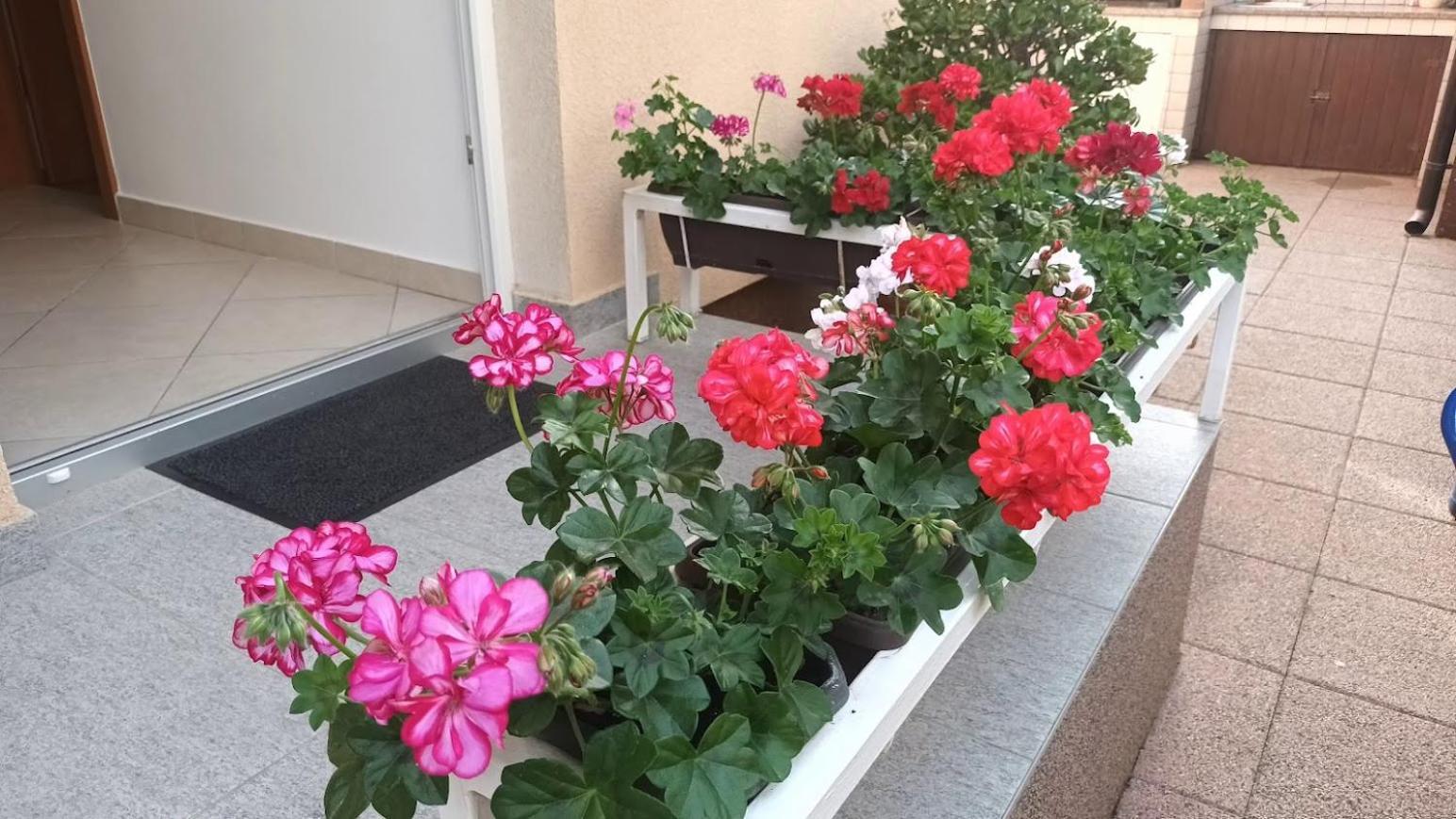 Apartment Marelja - Private Parking And Balcony ซาดาร์ ภายนอก รูปภาพ